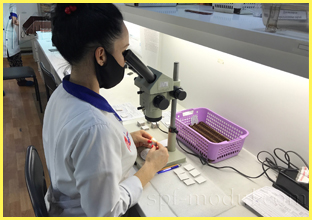 quality inspection of thermoelectric modules